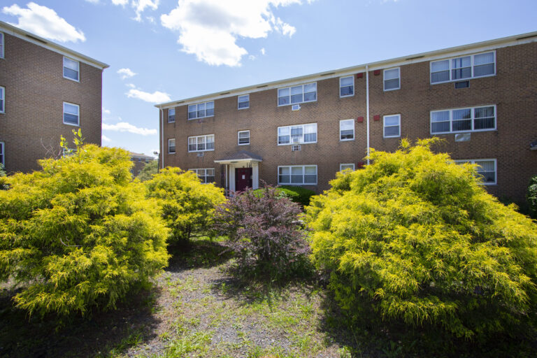 Spacious Garden-like setting